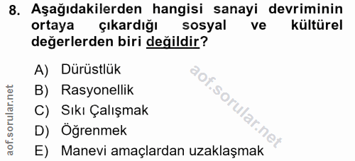 Soru 8