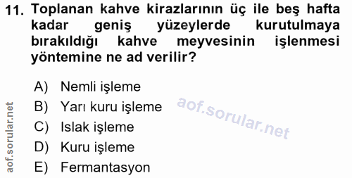 Soru 11