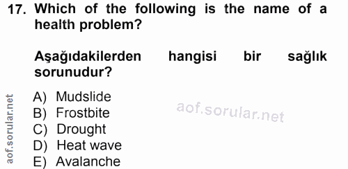Soru 17
