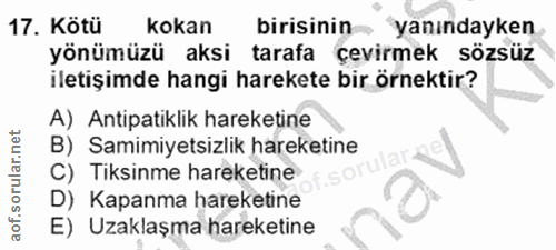 Soru 17
