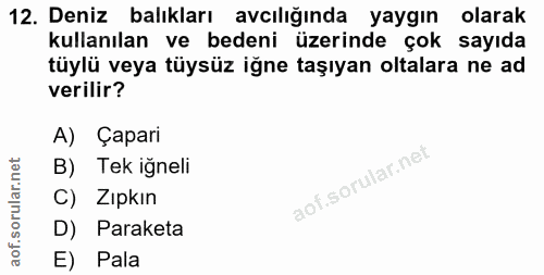 Soru 12