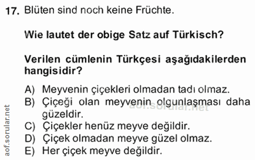 Soru 17