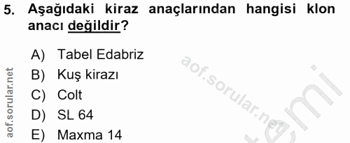 Soru 5