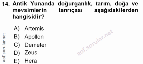 Soru 14