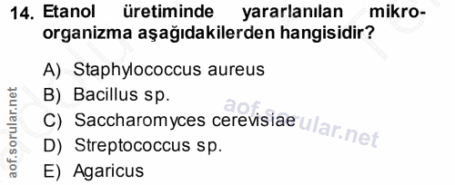 Soru 14
