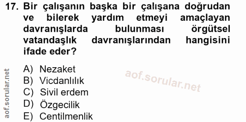 Soru 17