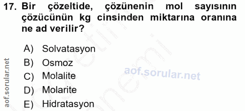 Soru 17