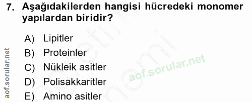 Soru 7