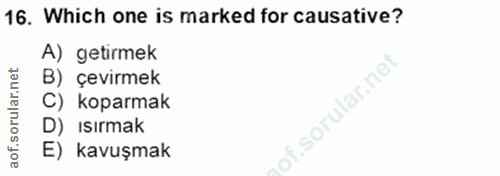 Soru 16