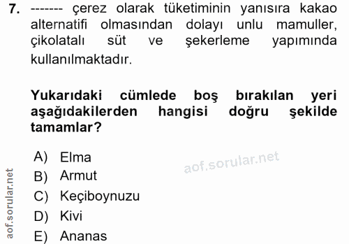 Soru 7