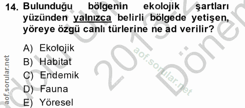 Soru 14