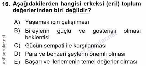 Soru 16