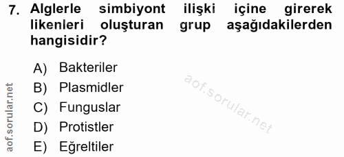 Soru 7
