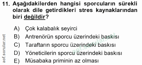 Soru 11