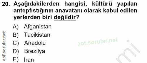 Soru 20