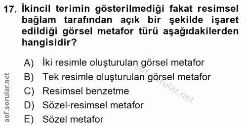 Soru 17