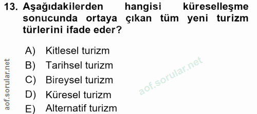Soru 13