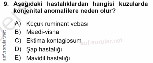 Soru 9