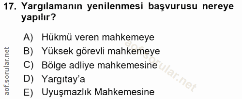Soru 17
