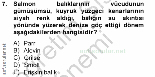 Soru 7
