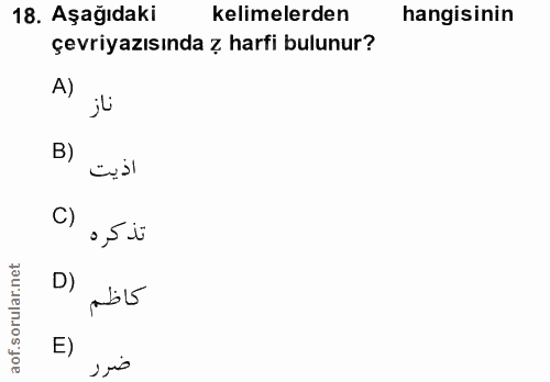 Soru 18