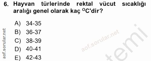 Soru 6