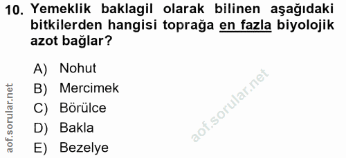 Soru 10
