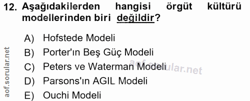 Soru 12