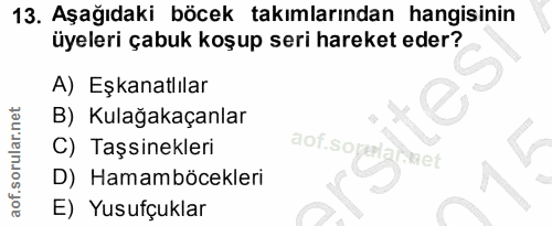 Soru 13