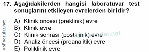 Soru 17