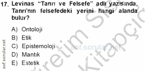 Soru 17
