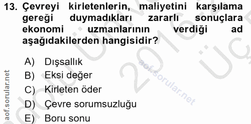 Soru 13
