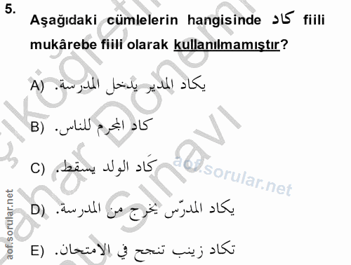 Soru 5