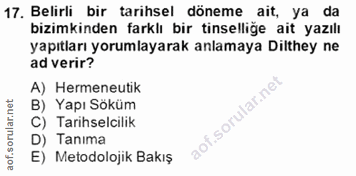 Soru 17