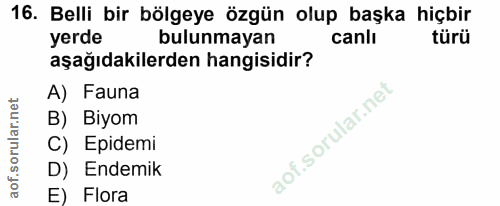 Soru 16