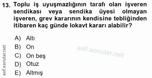 Soru 13