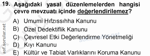 Soru 19