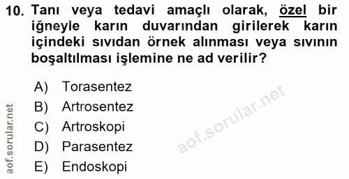 Soru 10