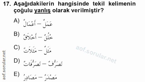 Soru 17