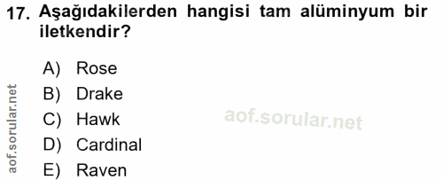 Soru 17