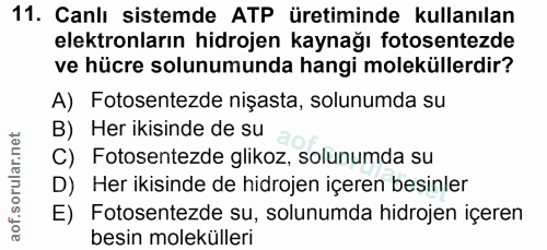Soru 11