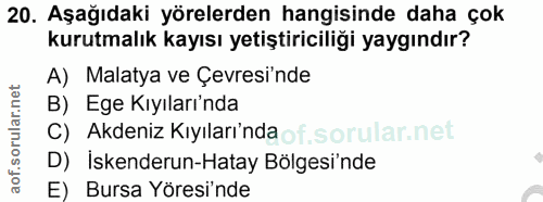 Soru 20
