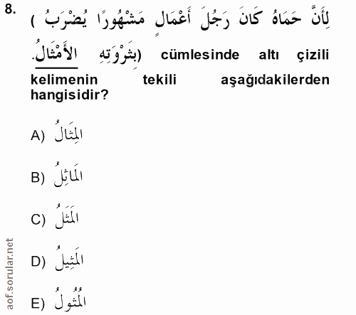 Soru 8