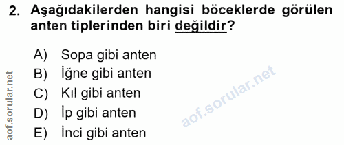 Soru 2