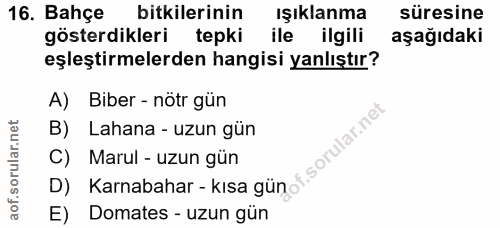 Soru 16