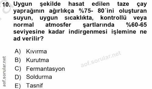Soru 10
