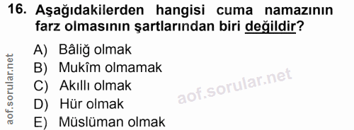 Soru 16