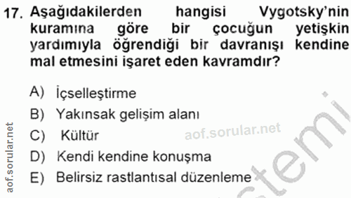 Soru 17