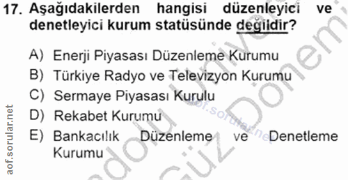 Soru 17