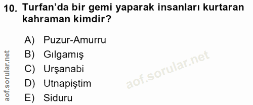 Soru 10